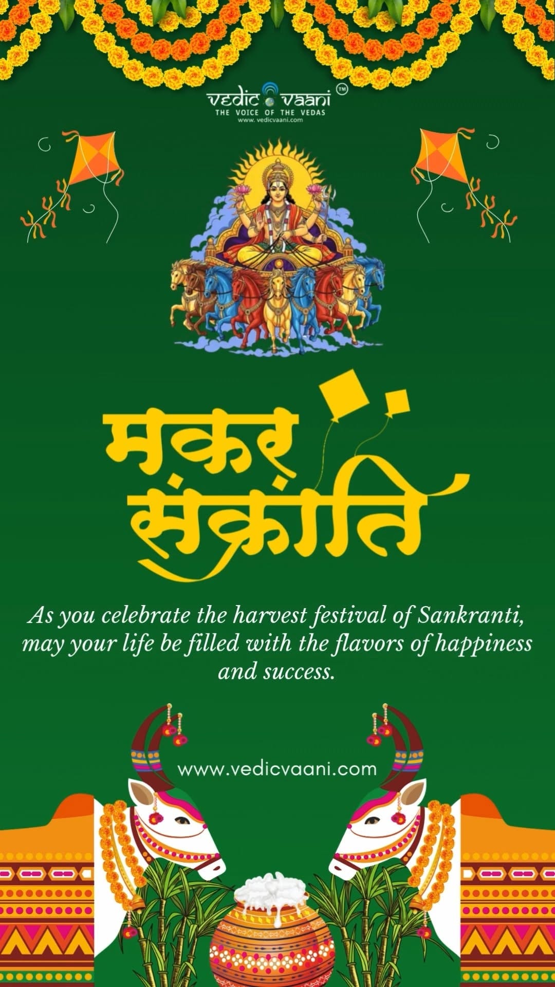 Post 6 by Vedic Vaani on Instagram (video)