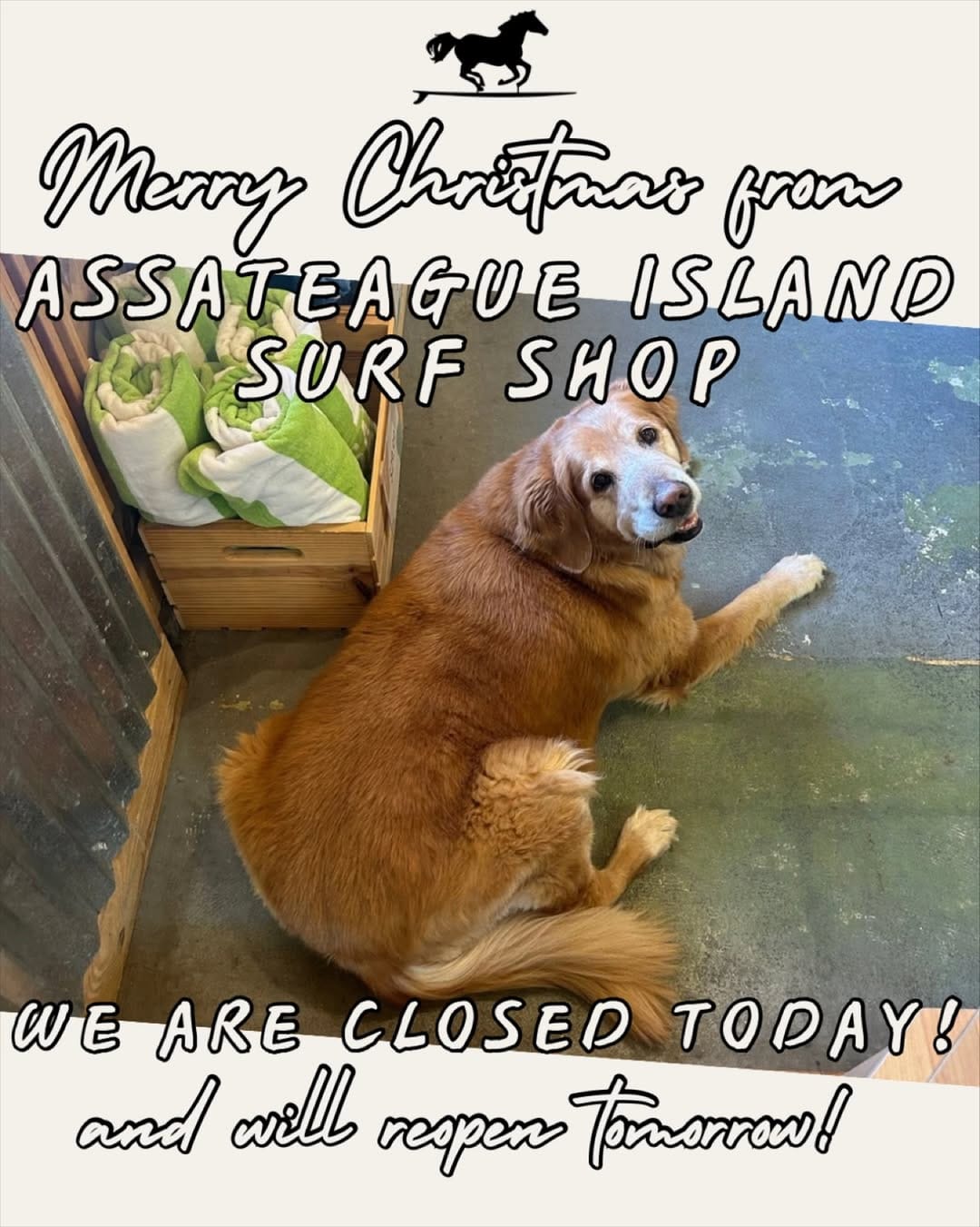 Post 4 by Assateague Island Surf Shop on Instagram (image)