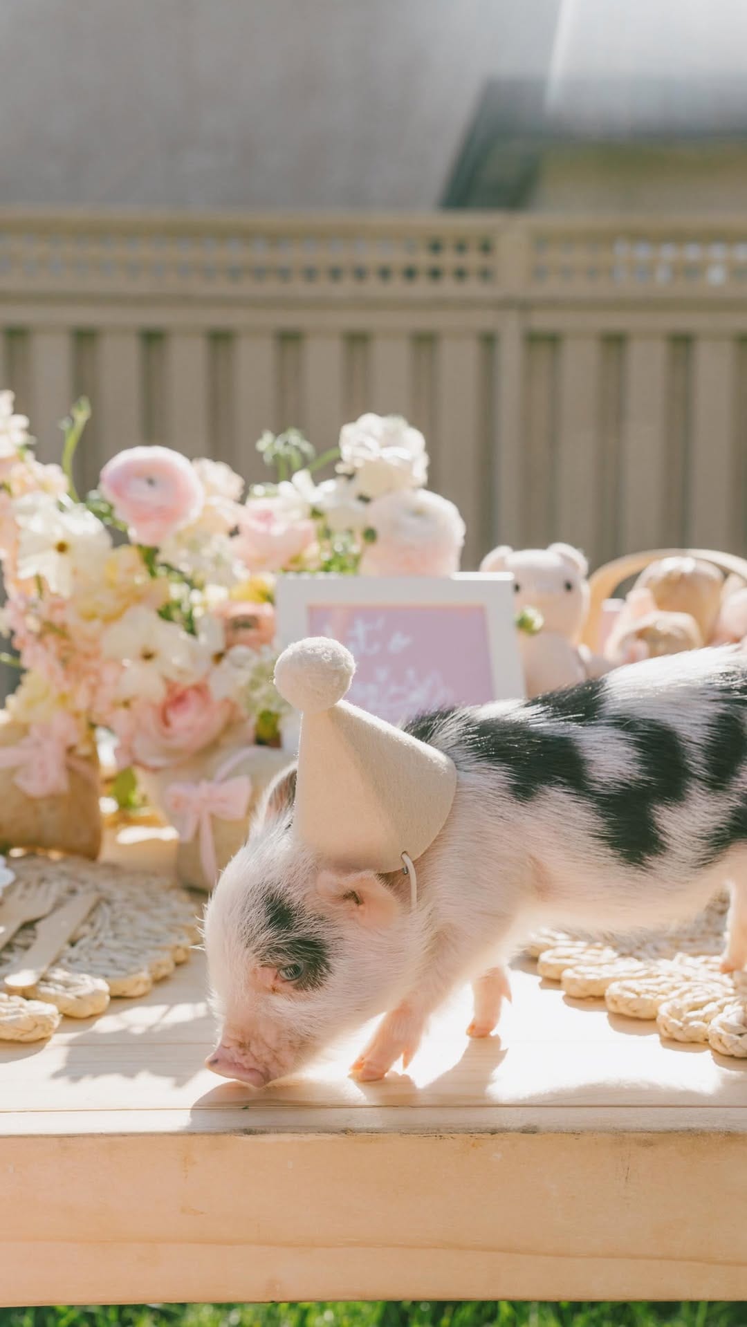 Post 2 by Boho Babes on Instagram (video)