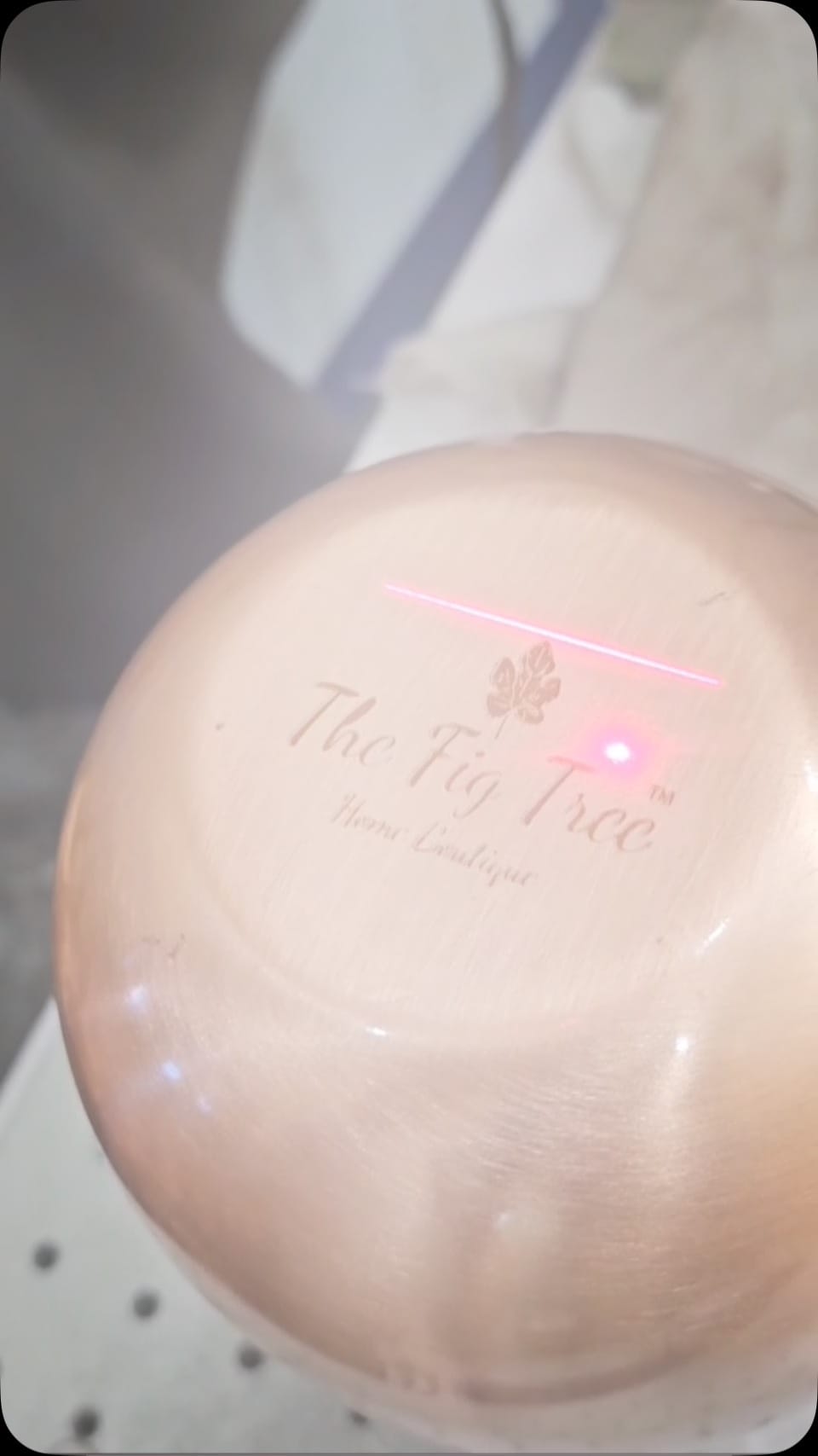 Post 10 by The Fig Tree on Instagram (video)
