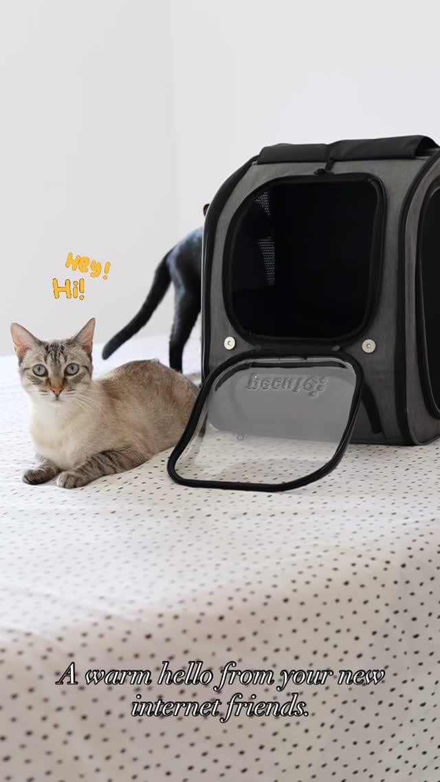 Post 10 by Pecute on Instagram (video)