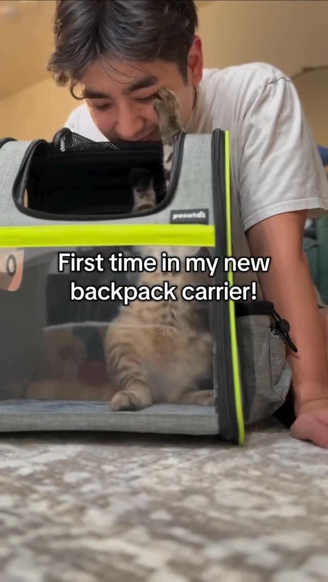 Post 4 by Pecute on Instagram (video)