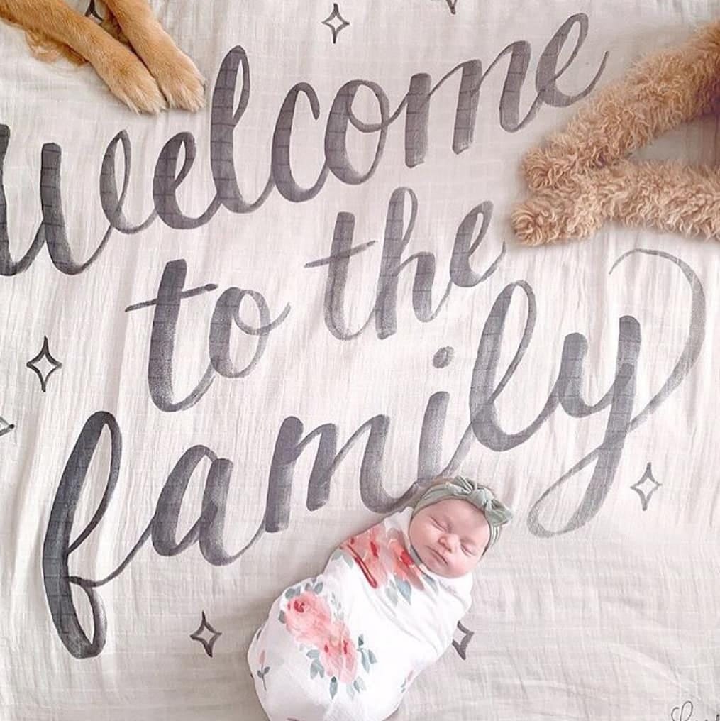 Post 6 by Home & Me🌟Best Nursery Brands on Instagram (image)