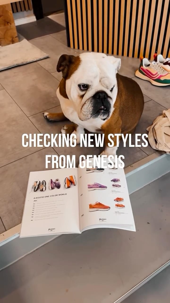 Post 1 by Shoes For Society X avesu on Instagram (video)