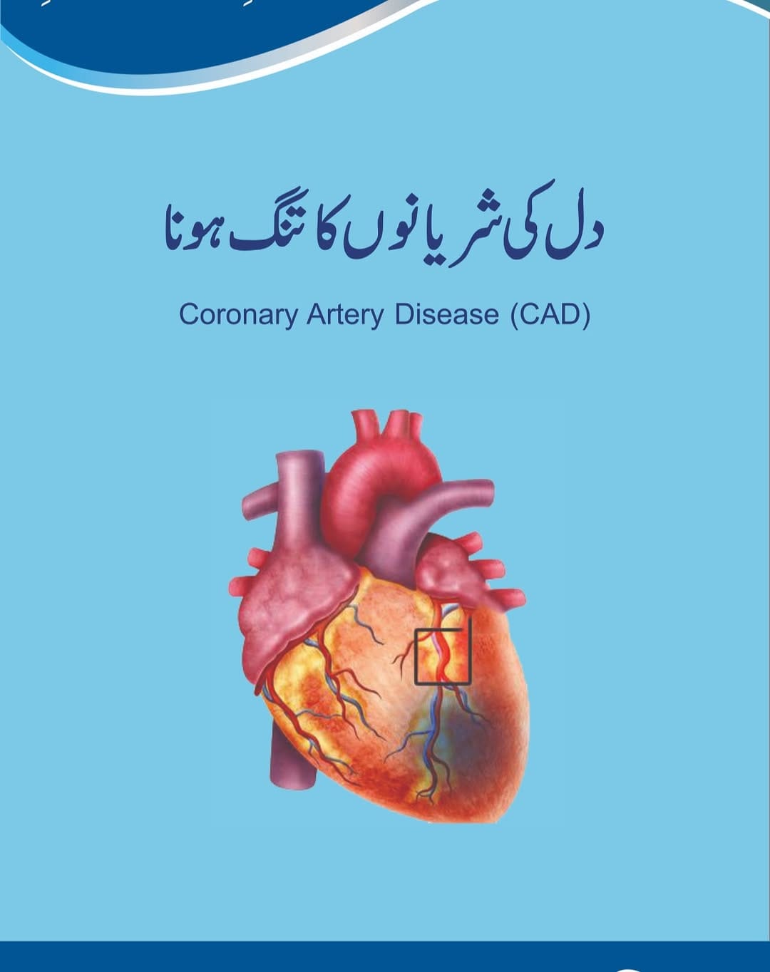 Post 2 by Al Huda Publications Pvt Ltd on Instagram (carousel)