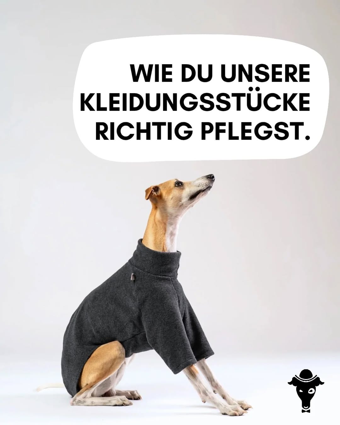 Post 4 by Karma Hund GmbH on Instagram (carousel)