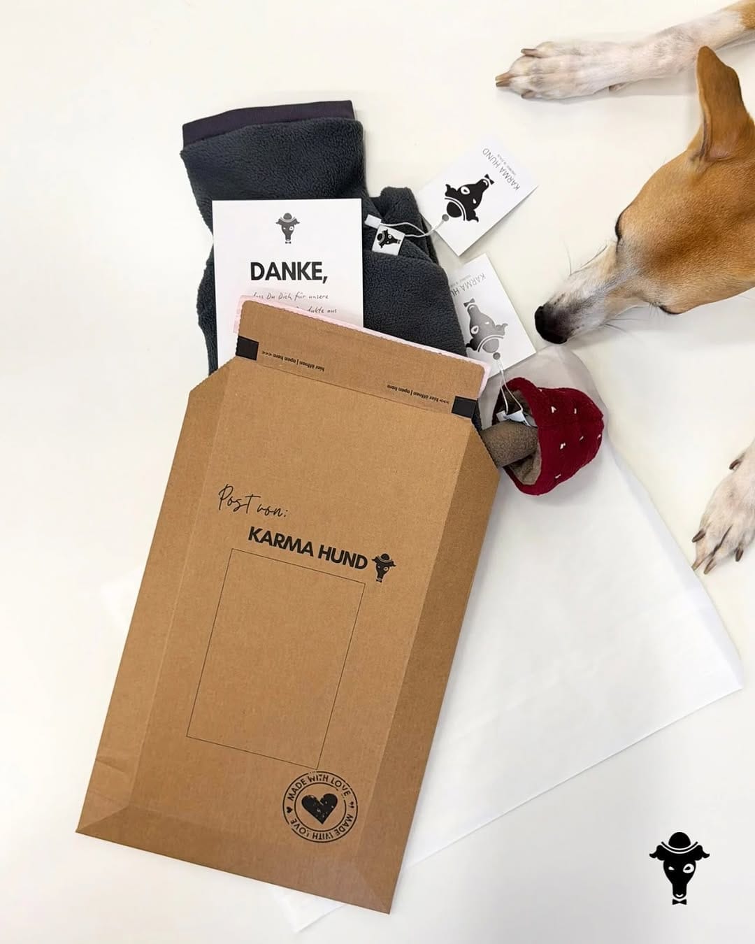 Post 8 by Karma Hund GmbH on Instagram (image)