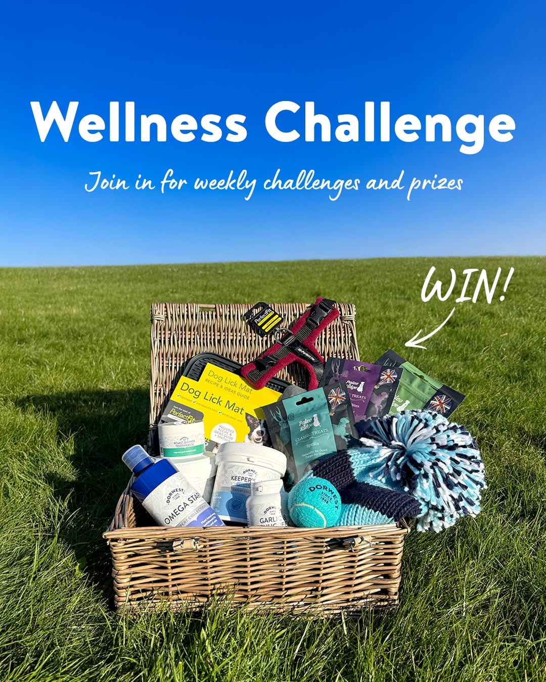 Post 9 by Dorwest Herbs on Instagram (image)