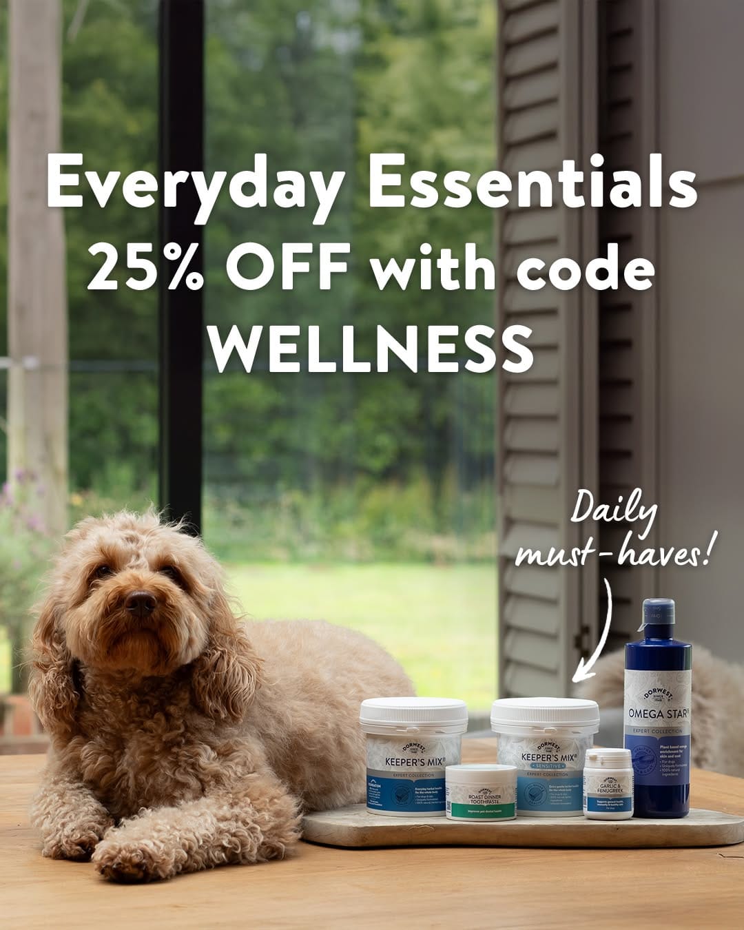 Post 10 by Dorwest Herbs on Instagram (image)