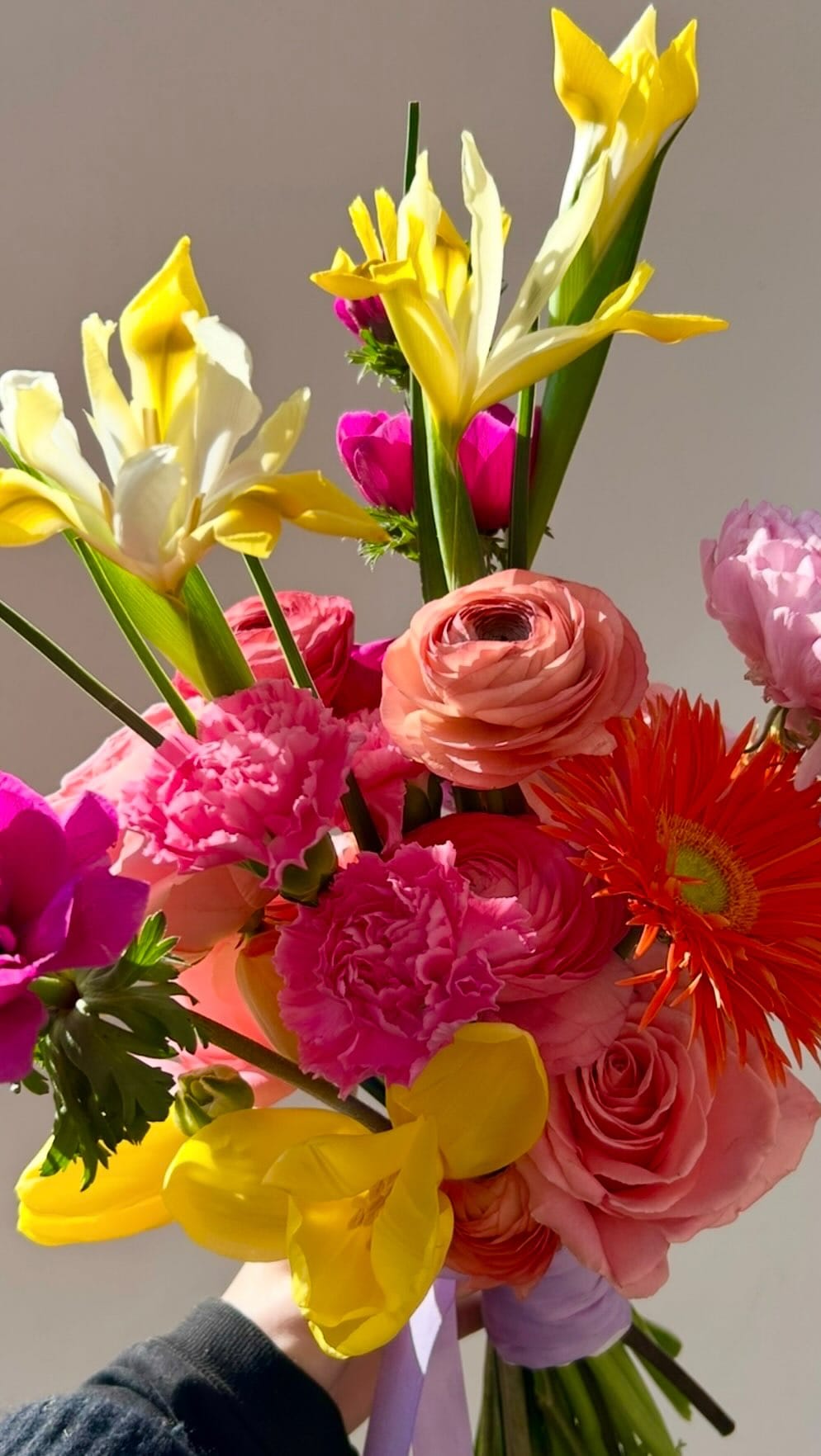 Post 3 by Petra Müller Blumen on Instagram (video)