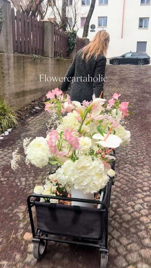 Post 1 by Petra Müller Blumen on Instagram (video)