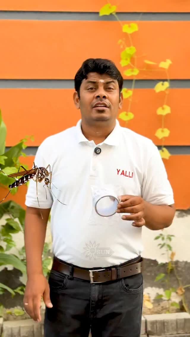 Post 7 by Yalli Marketing on Instagram (video)