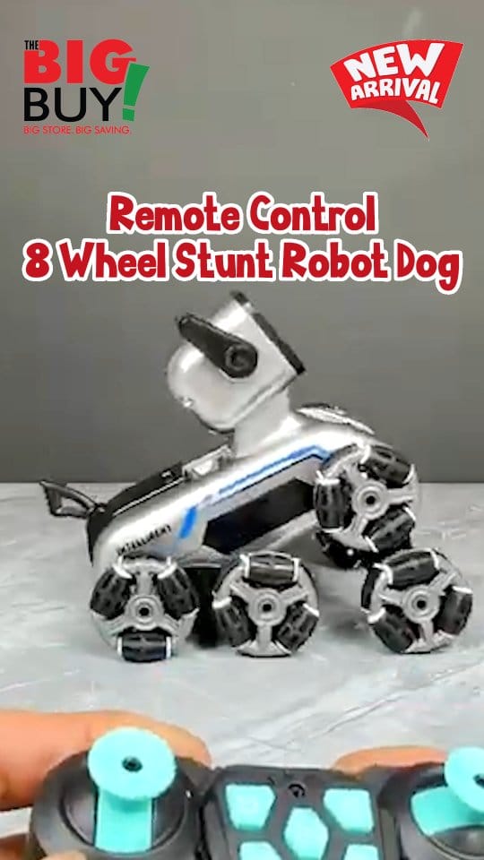 Post 1 by The Big Buy Store on Instagram (video)