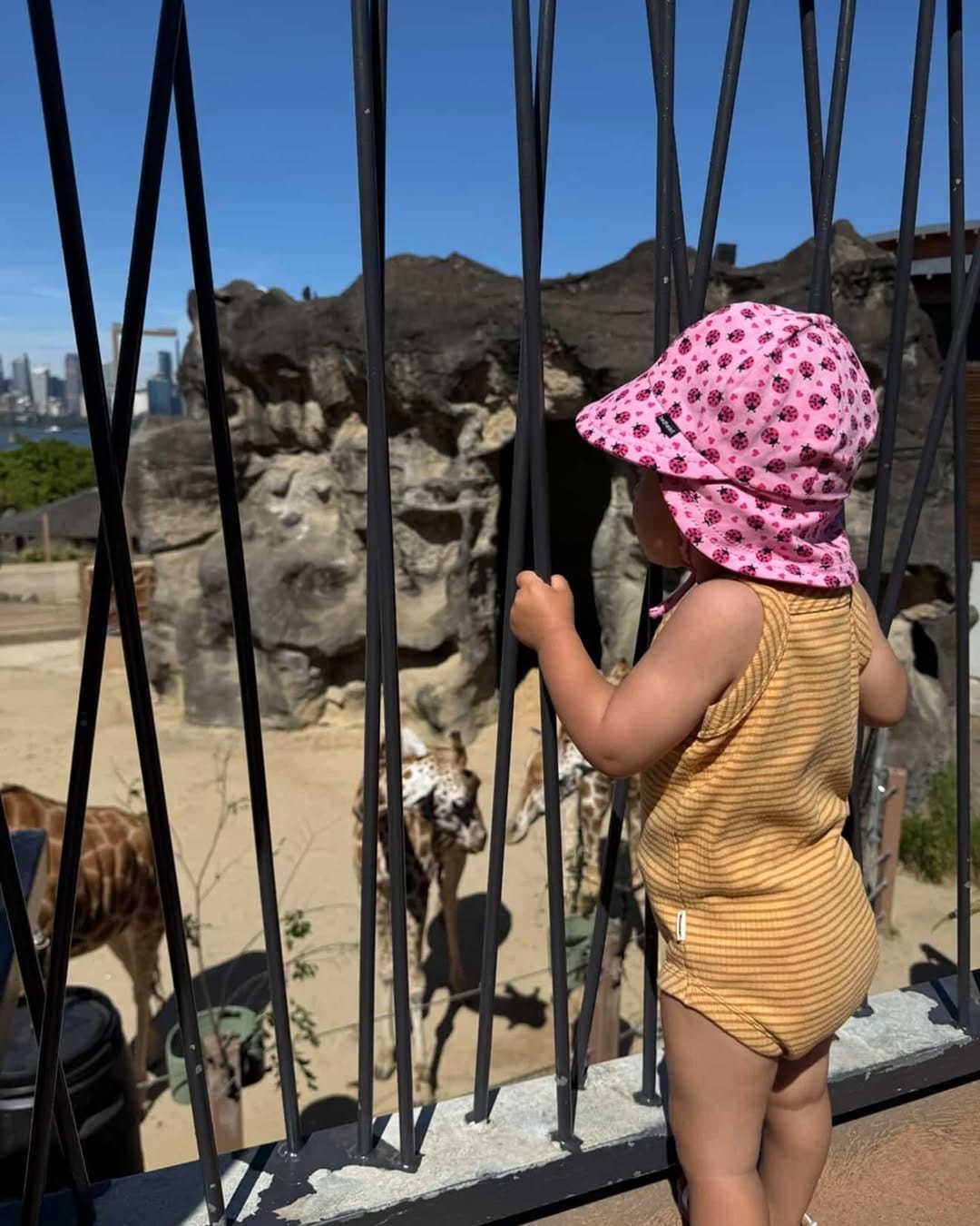 Post 2 by Bedhead Hats | Baby, kids & adult sun hats on Instagram (carousel)