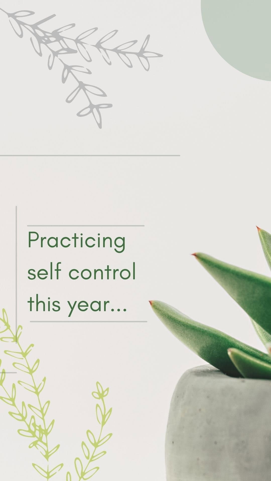 Post 9 by Plant-Centered Lifestyle Brand on Instagram (video)