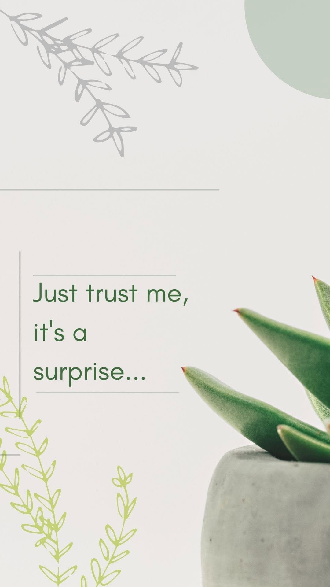 Post 2 by Plant-Centered Lifestyle Brand on Instagram (video)