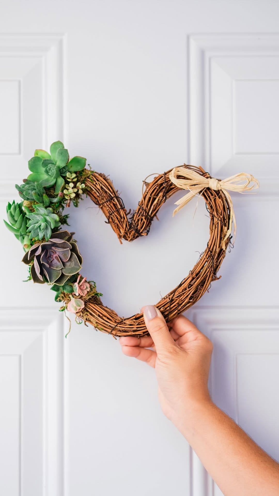 Post 1 by Plant-Centered Lifestyle Brand on Instagram (video)
