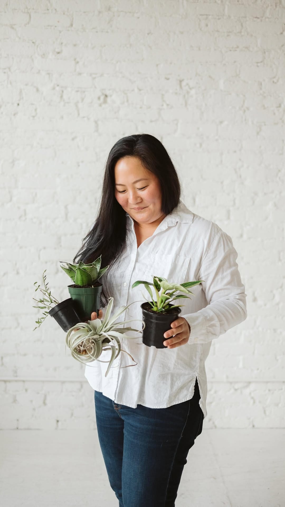 Post 6 by Plant-Centered Lifestyle Brand on Instagram (video)