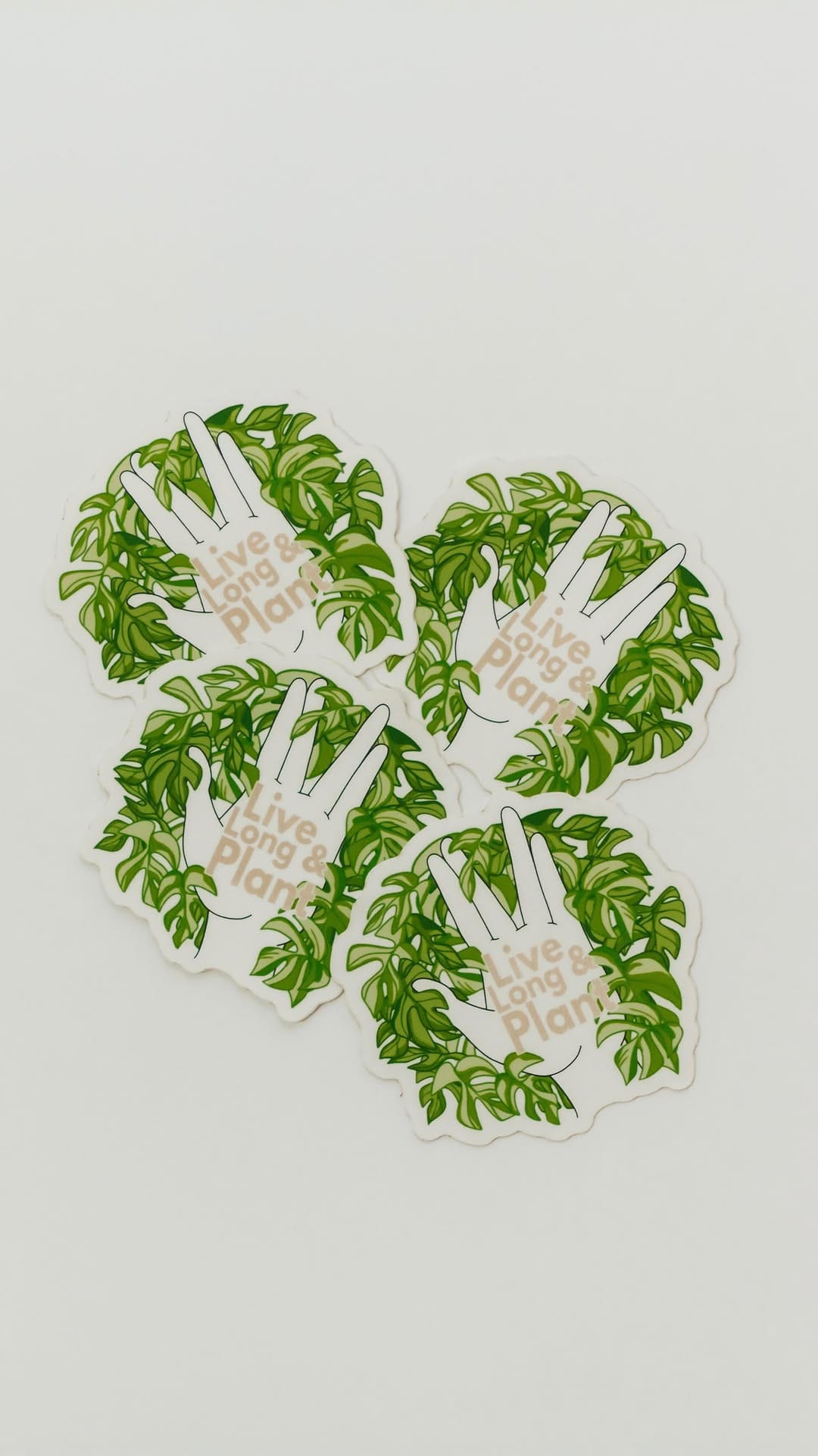 Post 8 by Plant-Centered Lifestyle Brand on Instagram (video)