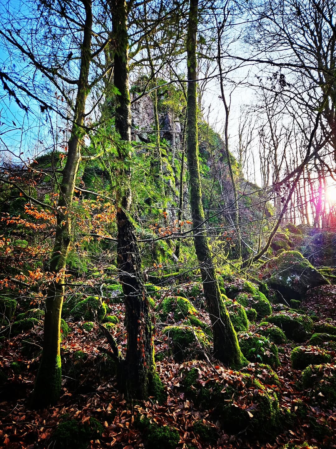 Post 3 by Trekking, Travel, Vanlife,Adventure on Instagram (carousel)