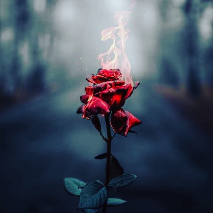 Post 4 by 🇱🇧🕵️‍♂️🇩🇪❧Adam❤VIP❧♀️ on Instagram (image)
