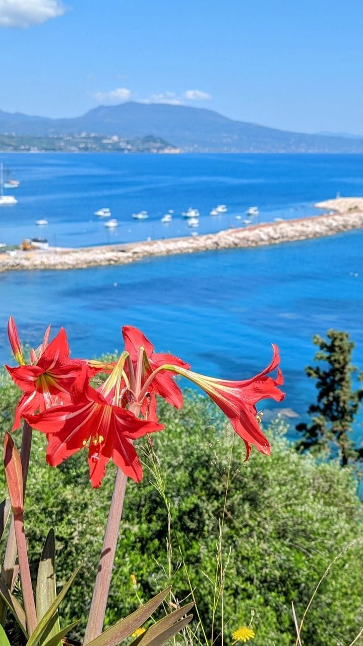 Post 2 by Maria Haase | Award-winning Travelblogger & Content Creator on Instagram (video)