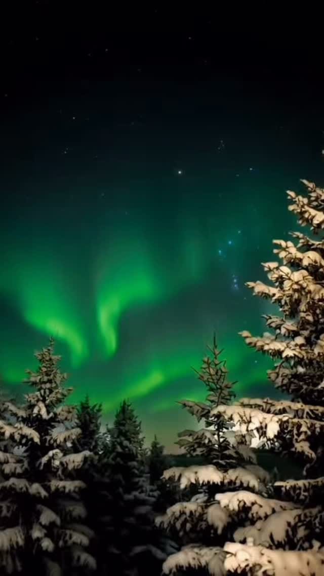 Post 2 by lina | [fotoˈɡraːfɪn] content creator on Instagram (video)