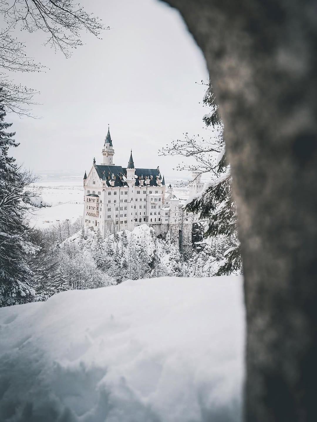 Post 3 by N I K L A S ▾ German Explorer on Instagram (carousel)