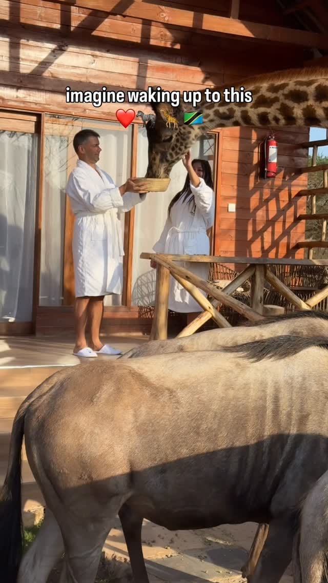 Post 10 by Rose Yilmaz on Instagram (video)