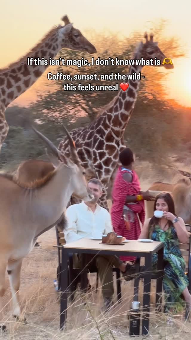 Post 1 by Rose Yilmaz on Instagram (video)