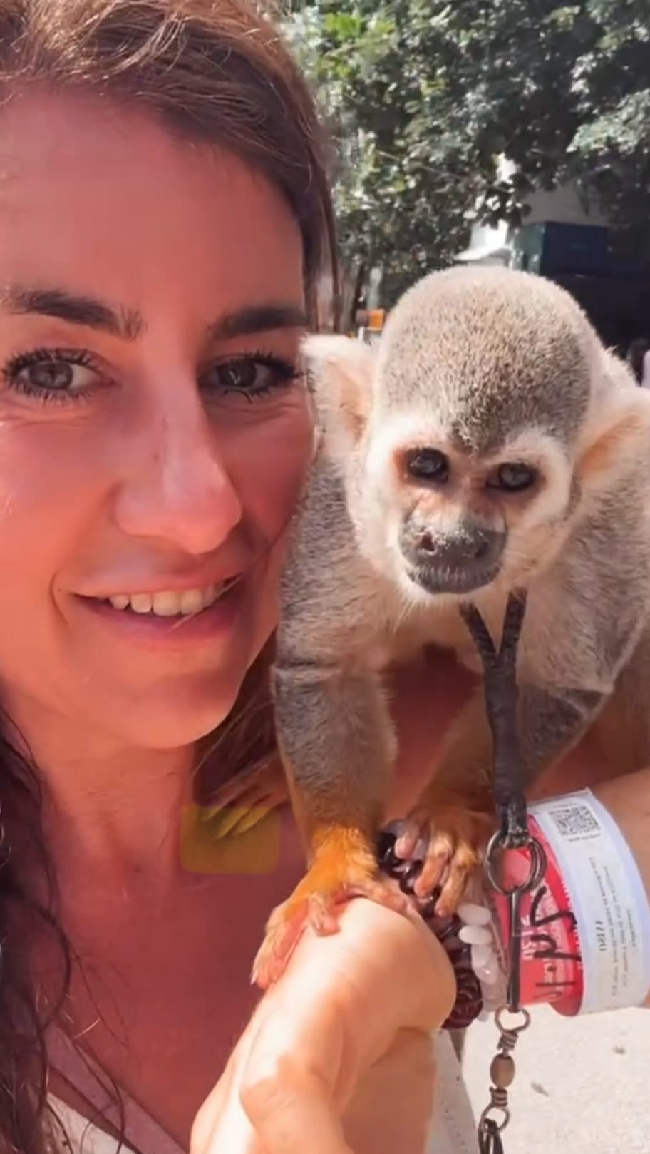 Post 2 by Jessica Hamacher on Instagram (video)