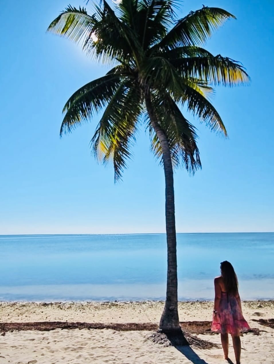 Post 5 by Jessica Hamacher on Instagram (image)