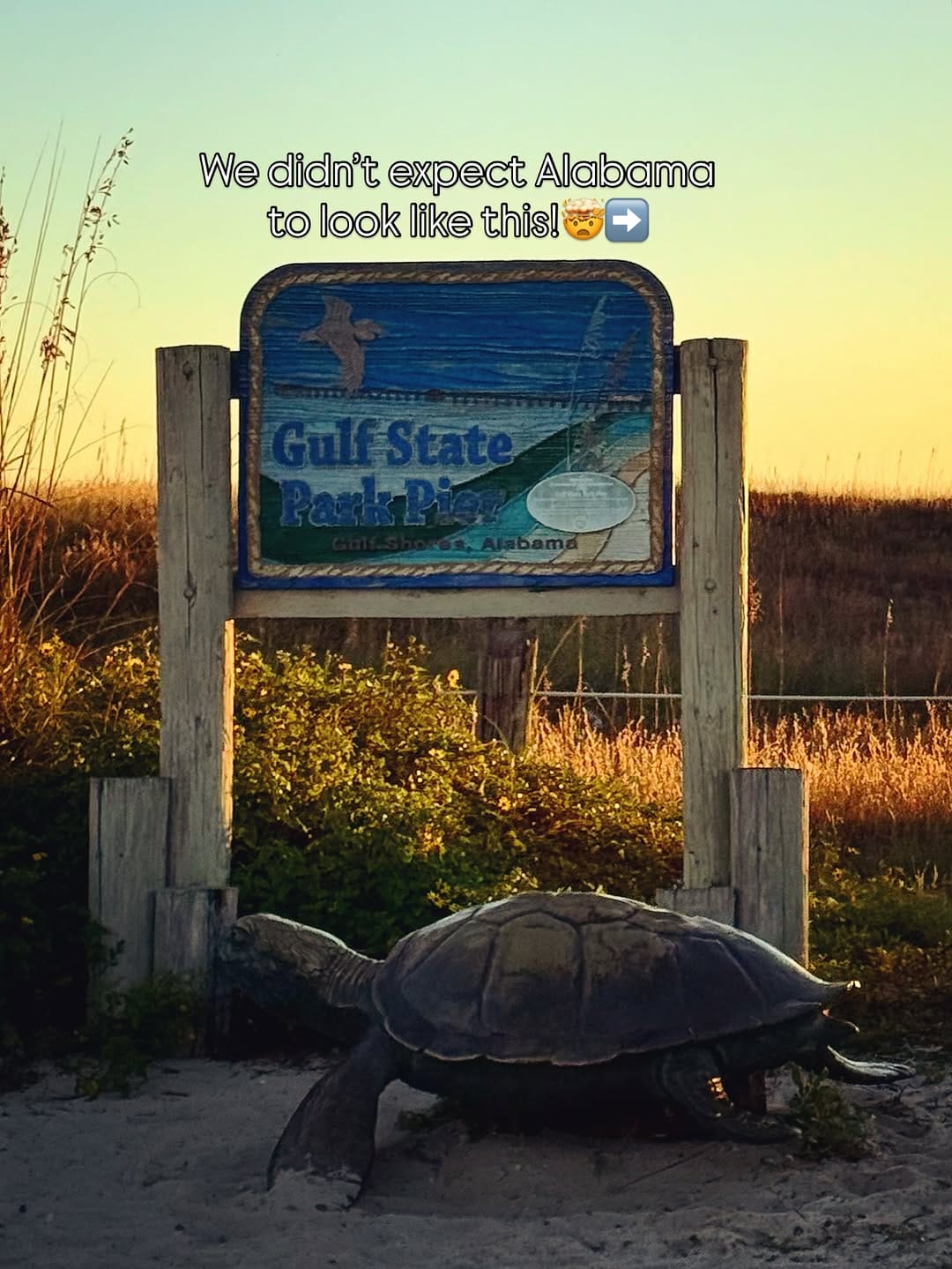 Post 7 by *PETRA* TheVentureVan / Vanlife Travelers on Instagram (carousel)