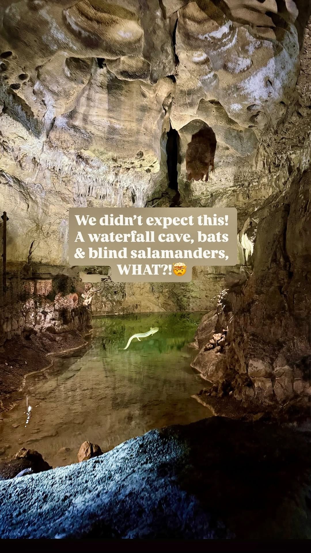 Post 1 by *PETRA* TheVentureVan / Vanlife Travelers on Instagram (video)