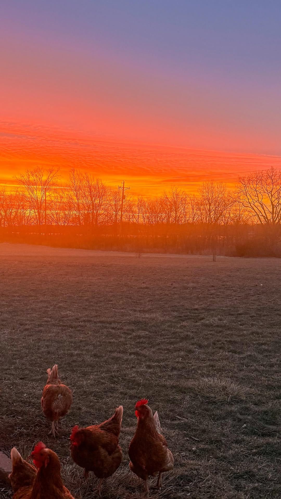 Post 3 by Lindsey Joseph 👋 on Instagram (video)
