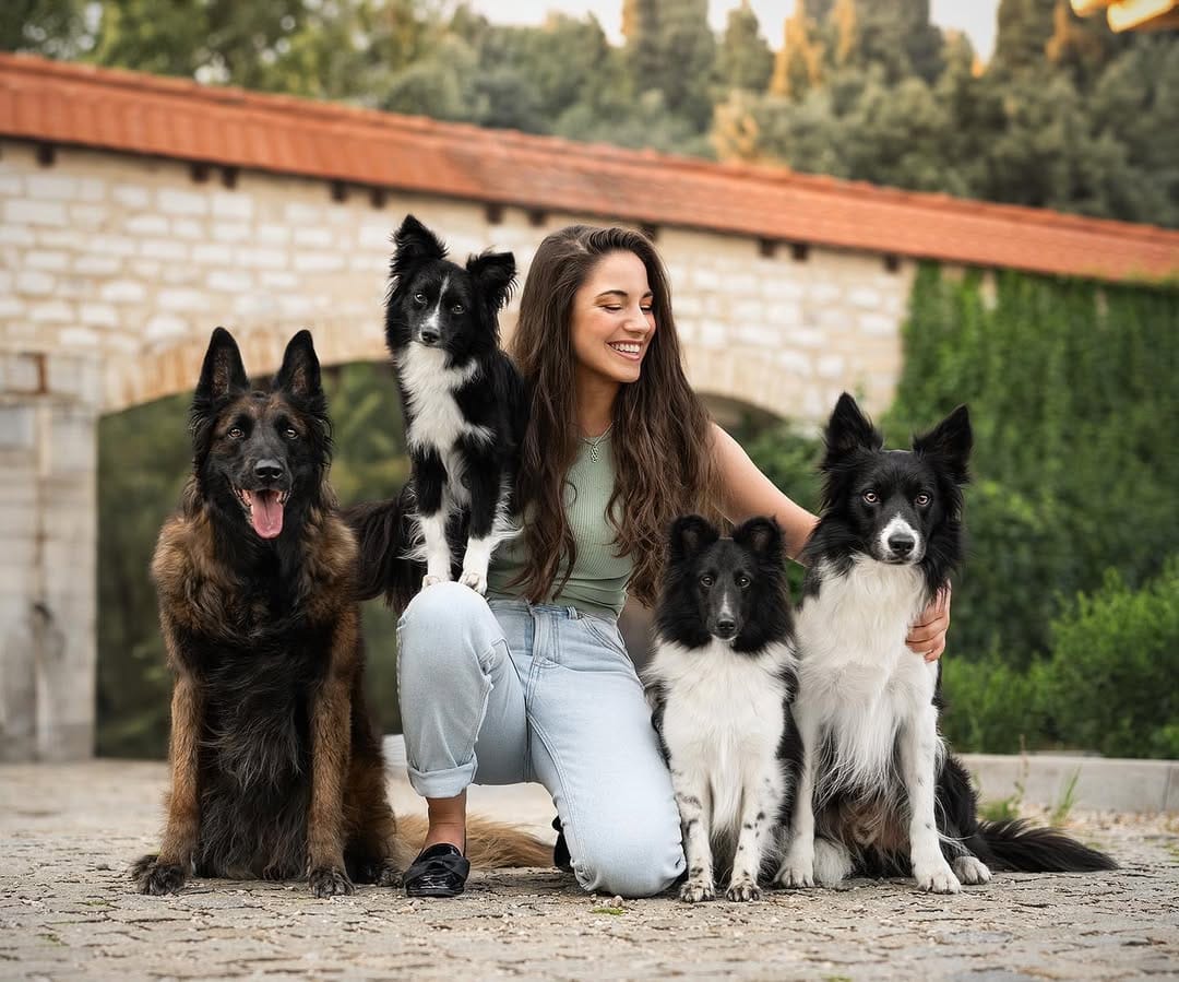 Post 10 by Chiara | Dogs, Agility & Adventure on Instagram (image)