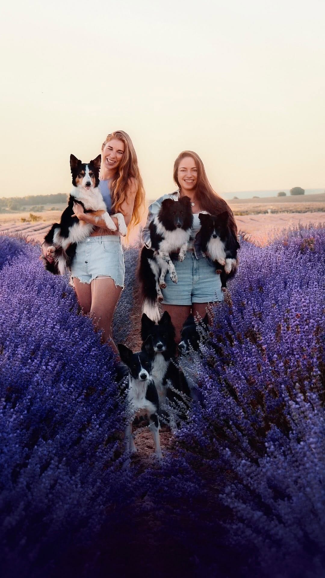 Post 5 by Chiara | Dogs, Agility & Adventure on Instagram (video)