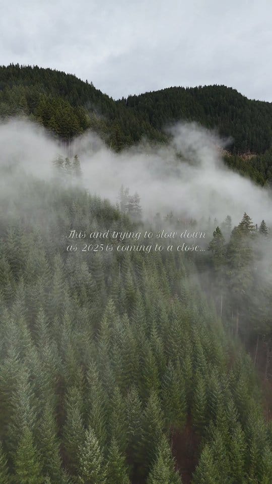 Post 7 by Stefanie | PDX | PNW | Travel 📷🎒🏕 on Instagram (video)