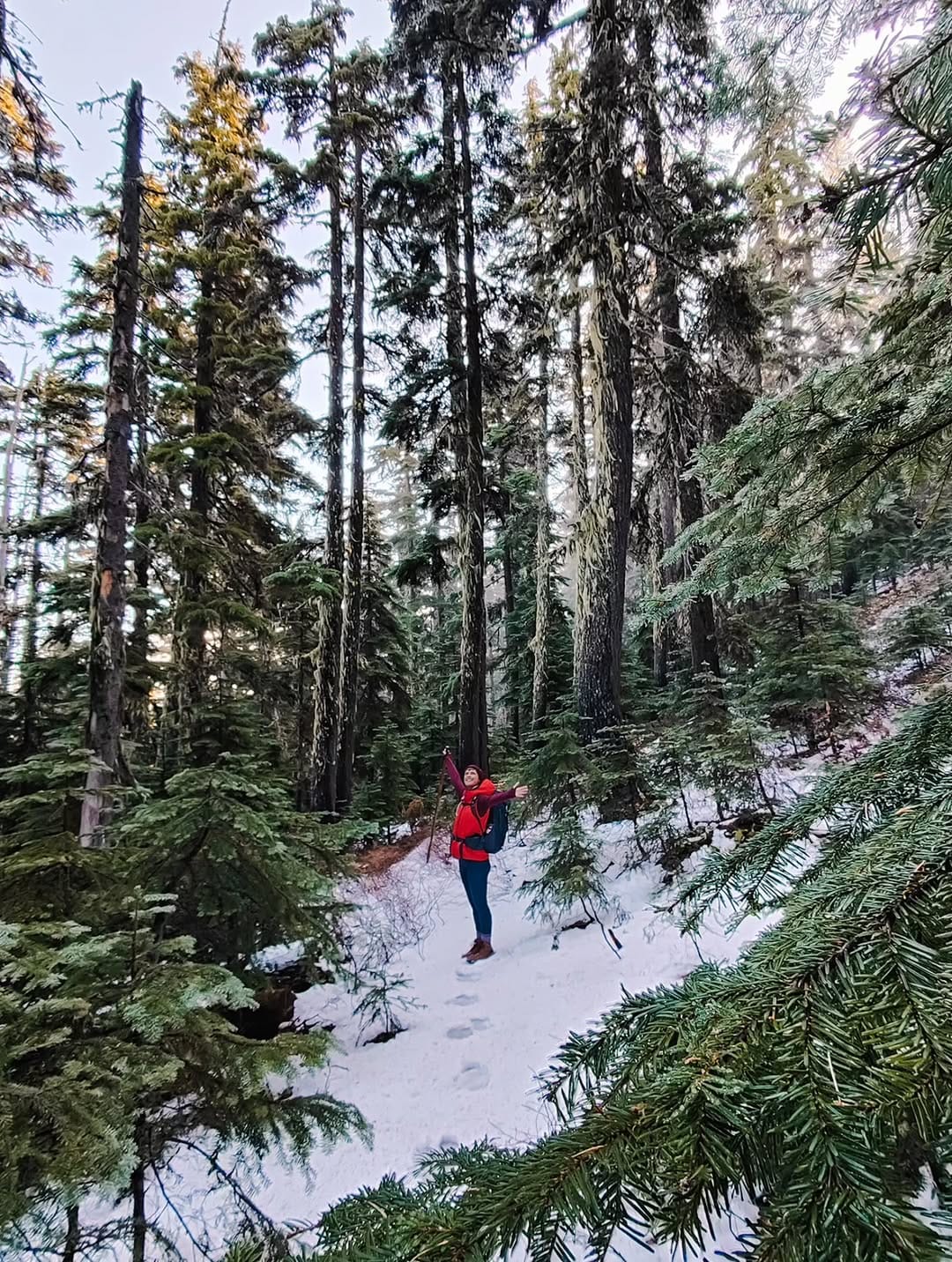 Post 3 by Stefanie | PDX | PNW | Travel 📷🎒🏕 on Instagram (carousel)