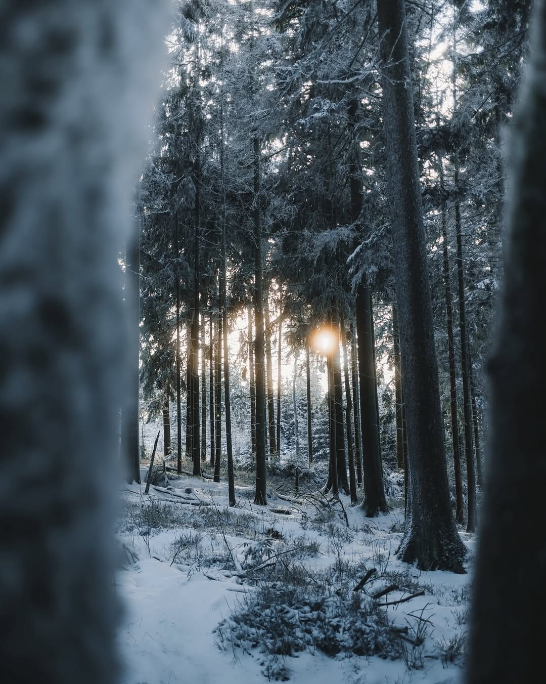 Post 1 by Johannes Hulsch | Germany on Instagram (carousel)