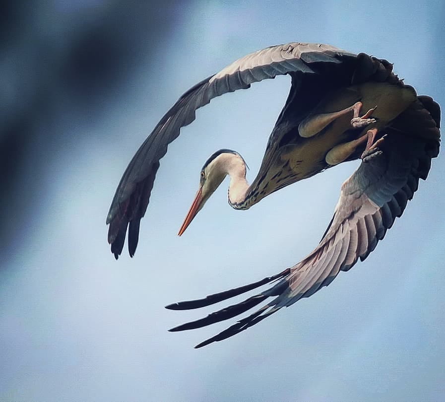 Post 9 by 🌿 Matteo Perini 🇵🇸 on Instagram (image)