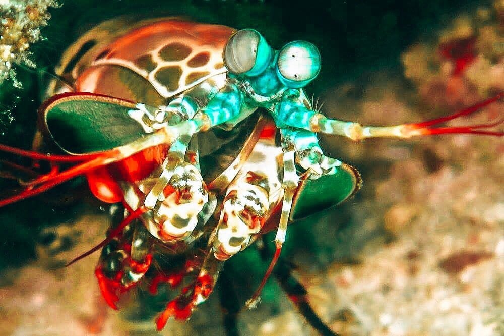 Post 7 by vanessa  |  travel & dive on Instagram (image)
