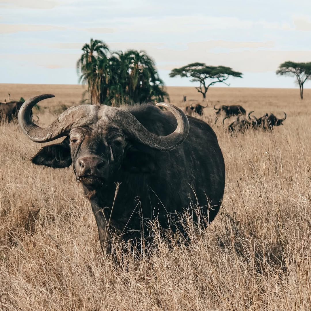 Post 4 by vanessa  |  travel & dive on Instagram (image)