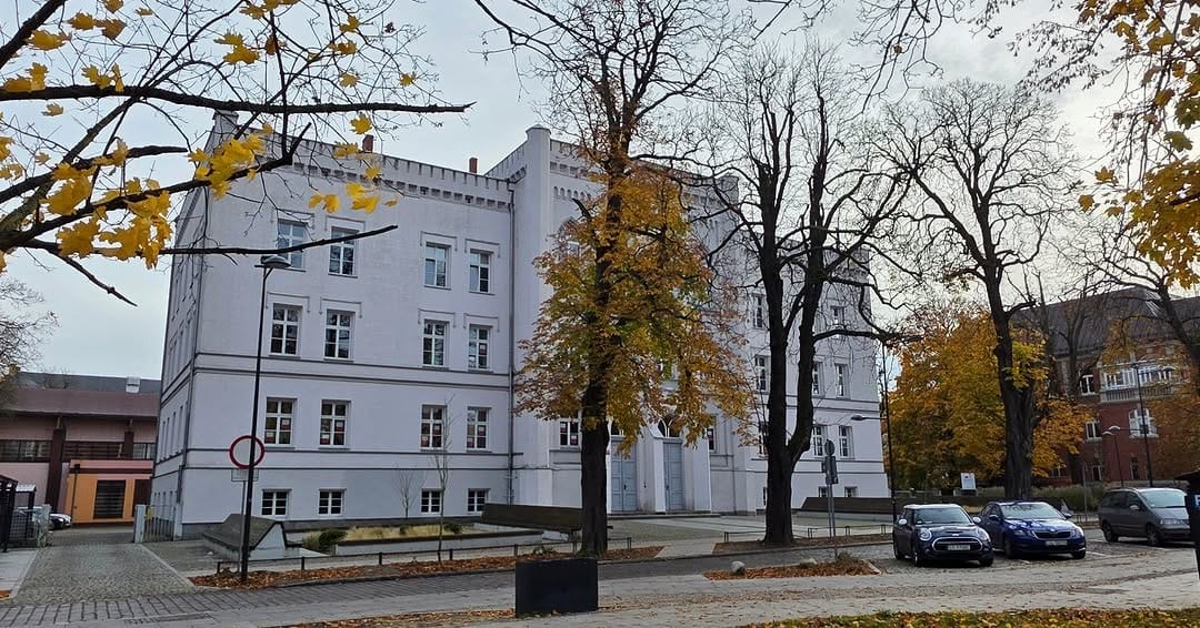 Post 5 by Gintaras Sereika on Instagram (image)
