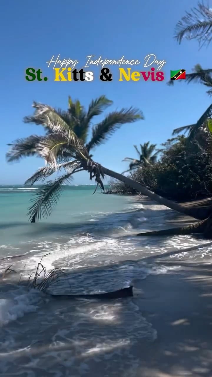 Post 8 by Simone | Food & Travel on Instagram (video)