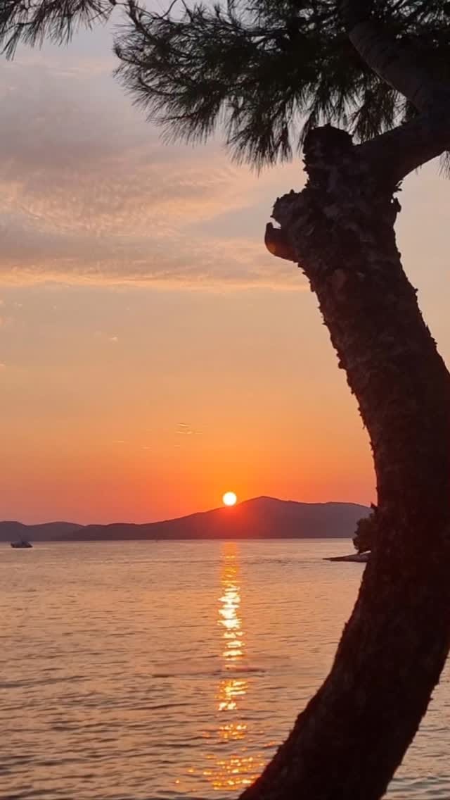 Post 9 by Tanja on Instagram (video)