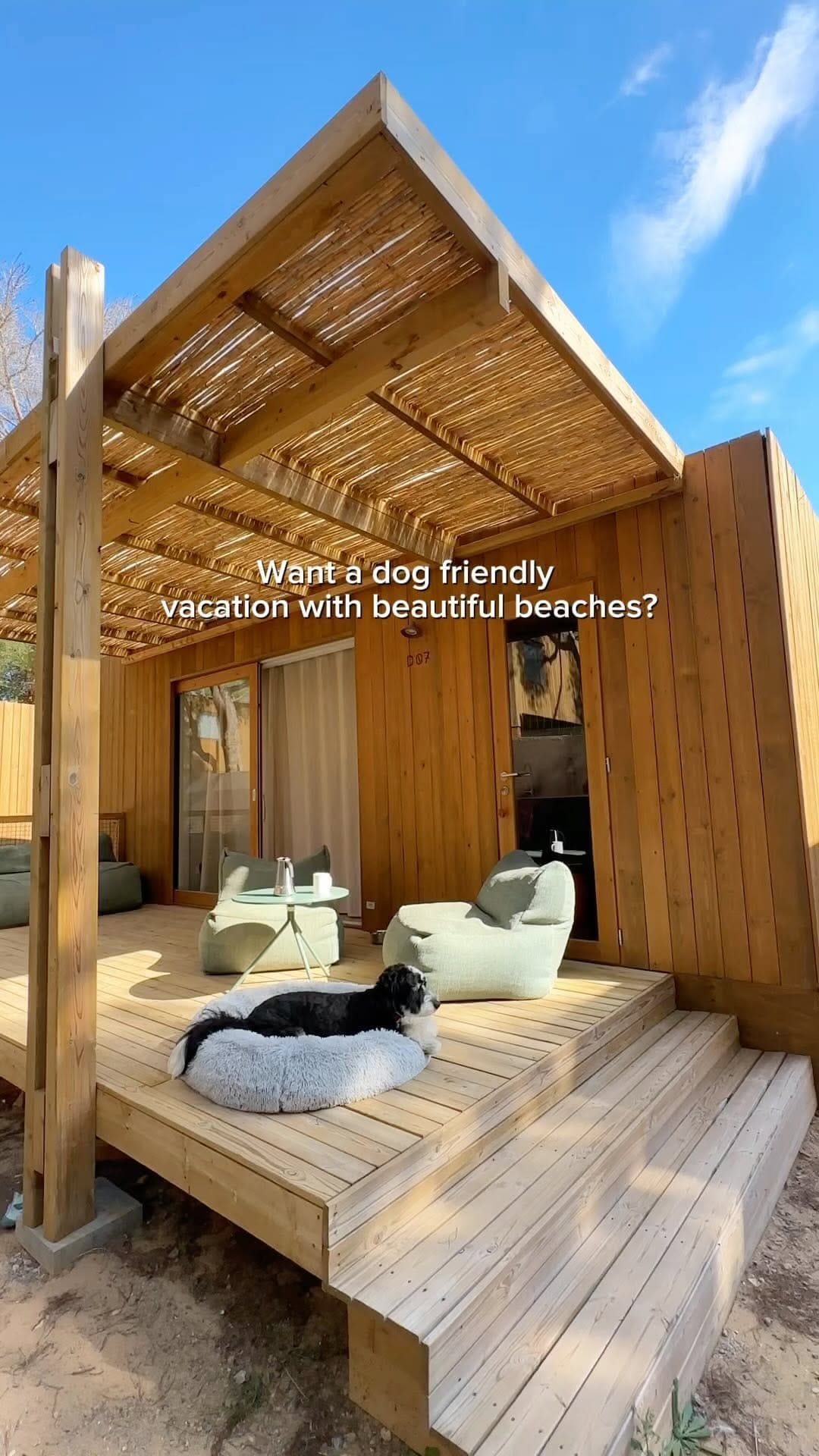 Post 4 by Bowie’s adventure ✈️ | dog friendly travel on Instagram (video)