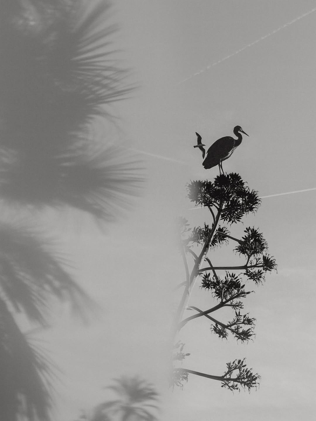 Post 4 by Sarah Johanna on Instagram (image)