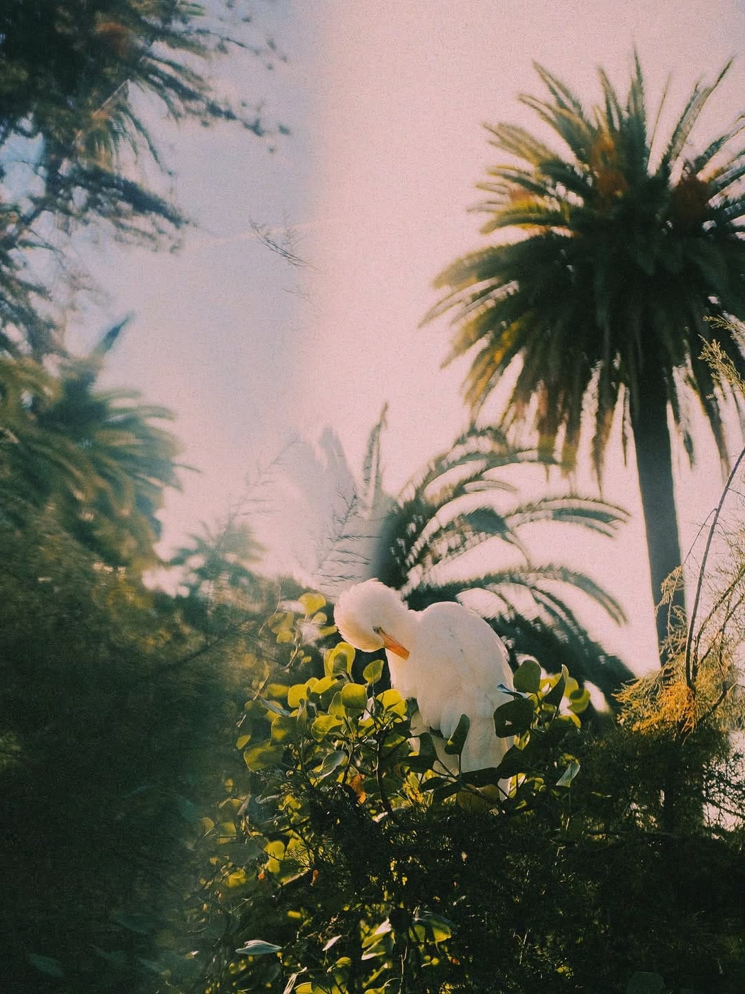 Post 6 by Sarah Johanna on Instagram (carousel)