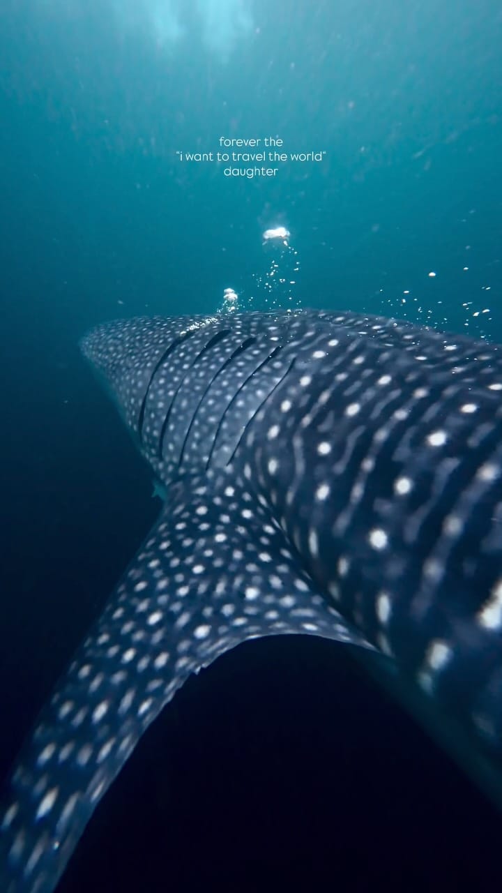 Post 6 by M a r i n a on Instagram (video)